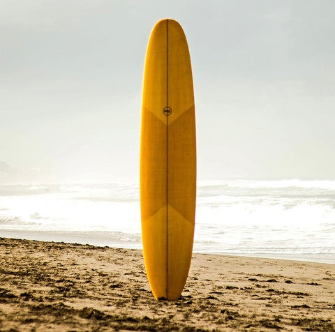 100's of Fins