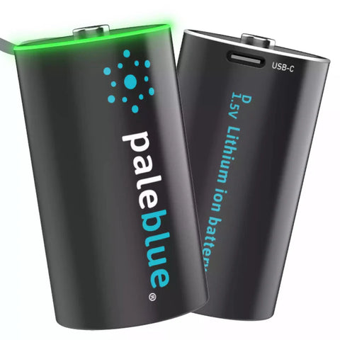 Rechargeable Battery 2pk - D