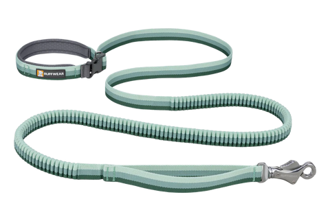 Roamer Bungee Dog Leash - River Rock Green