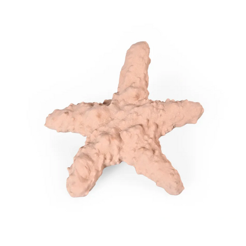 Paws the Planet - Starfish Dog Toy
