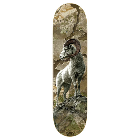 x RealTree "Bighorn" Adam Arunski - 8.5" White