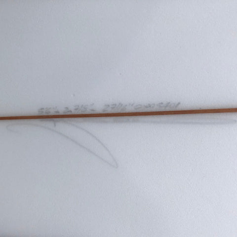 Fish 5'6" - Futures
