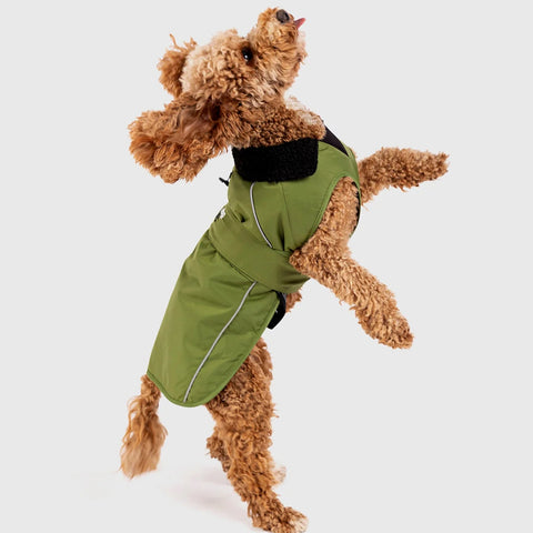 Dog Dryrobe - Forest Green/Black
