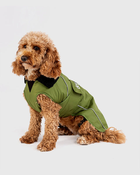 Dog Dryrobe - Forest Green/Black
