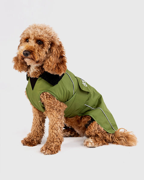 Dog Dryrobe - Forest Green/Black