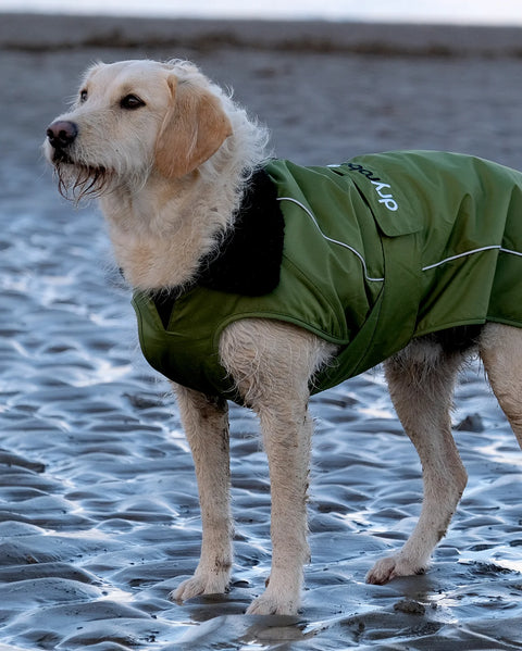 Dog Dryrobe - Forest Green/Black