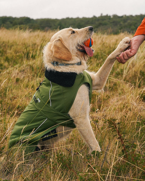 Dog Dryrobe - Forest Green/Black
