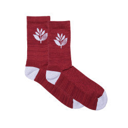 Plant Socks