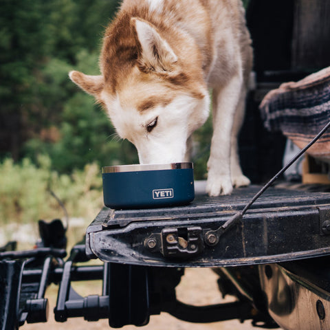 Yeti Dogs