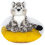 Ascent Plush - Snow Leopard