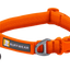 Front Range Collar - Blaze Orange