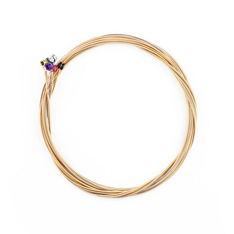 Light Gauge Phosphor Bronze .012-.053 (EJ16)