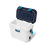 Roadie 15 - Wildly Stronger Anniversary White/Blue
