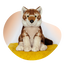 Scout Plush - Wolf