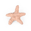 Paws the Planet - Starfish Dog Toy