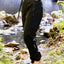 Dryrobe Thermal Trousers - Black