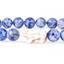 Venture Bracelet - Polar Bear - Igloo