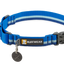 Web Reaction Martingale Collar - Blue Pool
