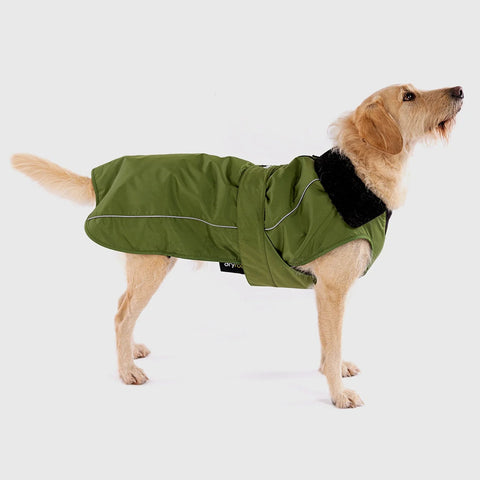 Dog Dryrobe - Forest Green/Black