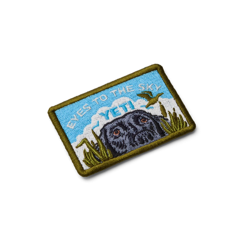 Eyes to the Sky Patch - Blue