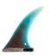 FCS2 "Thomas Bexon" Bloom 11.5"