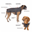 Dog Dryrobe - Black/Grey